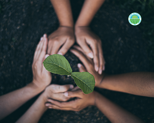 Sotenibilità giardino
