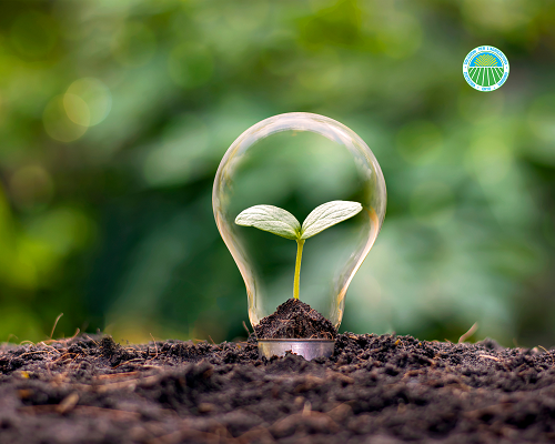 Sostenibilita pratiche giardino