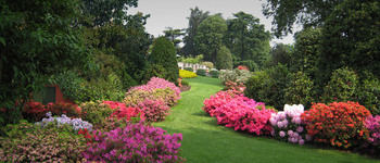 Jardín