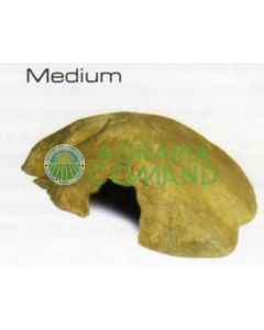 CUEVAS DE REPTILES MEDIANAS