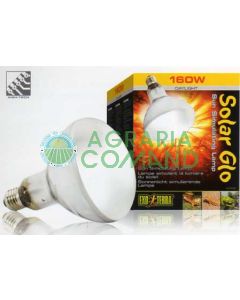 GLO SOLAR 125W