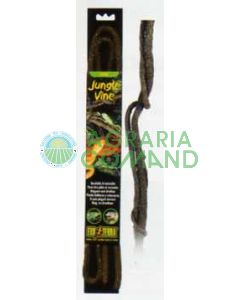 VID DE LA SELVA PEQUEÑA