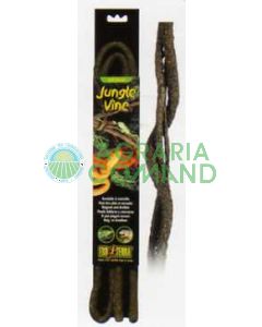 VID DE LA SELVA MEDIANA