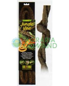 ENREDADERAS DE LA SELVA GRANDES