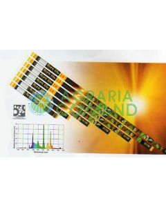 REPTI GLO 2.0/T8 LÁMPARA DE LUZ DIURNA PARA TERRARIOS 18" 45 CM. 15 W