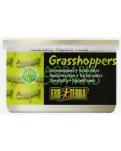 SALTAMONTES 34 G / 1,2 ONZAS - SALTAMONTES