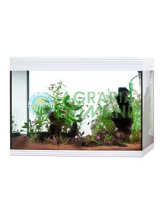 Acuario pure led cube 130 lt