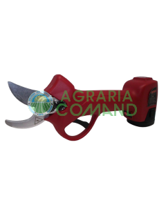 Tijeras Archman Fe03-05