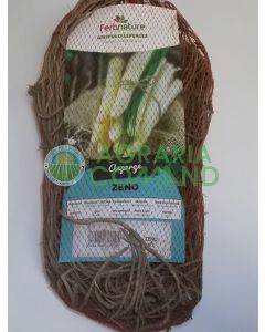 Espárragos blancos zeno Espárragos blancos zeno