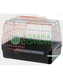 ATLAS VISIÓN GRANDE