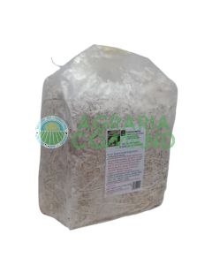 balla cardoncello piccola