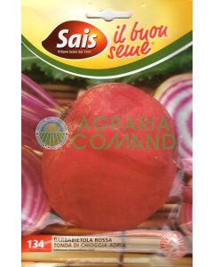 Remolacha roja redonda Chioggia-Adria
