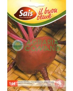 Remolacha roja Egipto