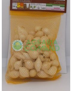 bulbillos de cebolla blanca