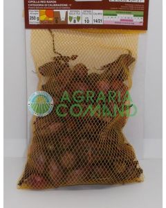 Bulbos de cebolla roja