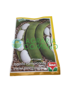 Judía blanca trepadora España