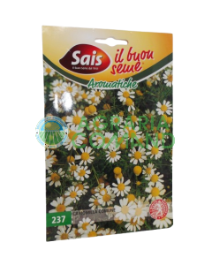 Semilla de manzanilla común