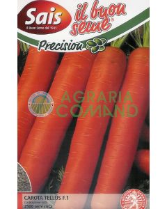 Tellus constitution Sais semilla de zanahoria