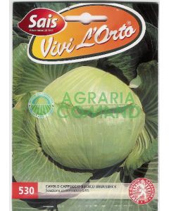 COL BLANCA DE BRUNSWICK COL BLANCA DE BRUNSWICK