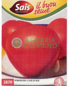 Tomate Cuor di Bue Tomate Cuor di Bue