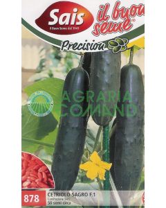 SAGE CELERIUM F.1 50 semillas aprox.