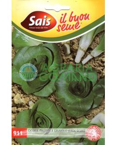 Achicoria verde oscuro