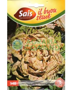 Achicoria de Castelfranco variegada