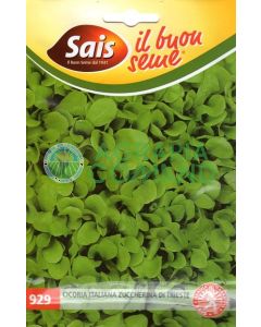 Achicoria cortada de Trieste