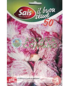 Semillas de achicoria chioggia variegada
