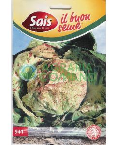 Achicoria variegada Lusia Achicoria variegada Lusia