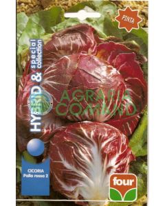 CHICORY BOLA ROJA 2 sel. Pinta COLECCIÓN ESPECIAL