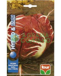 VERONA CHICORY ROJO Tarde Sel. COLECCIÓN ESPECIAL San Valentín