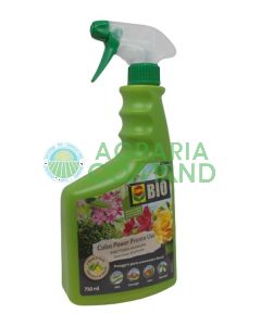 Colza oleaginosa insecticida Compo Colza oleaginosa insecticida Compo