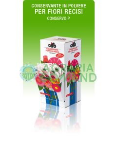 conservar_P para_flores_reciosas