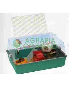 MINI HÁMSTER DUNA MINI HÁMSTER DUNA