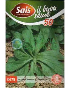 VALERIANA HOLANDESA GR.50 VALERIANA HOLANDESA GR.50