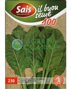 BIETOLA VERDE LISA PARA PICADO O HIERBAS - ROMAGNA gr. 100 BIETOLA VERDE LISA PARA PICADO O HIERBAS - ROMAGNA gr. 100