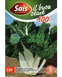 SILVER WIDE COAST BIETOLA VERDE 2 gr.100