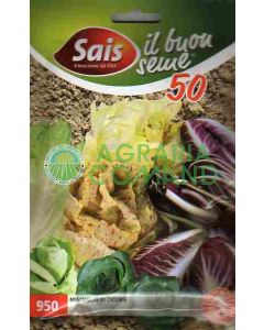 Mezcla de endibias de invierno Mezcla de endibias de invierno