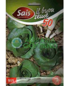 Semilla de achicoria Grumolo verde oscuro