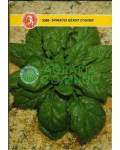 ESPINACAS GEANT D'HIVER GR.100 ESPINACAS GEANT D'HIVER GR.100