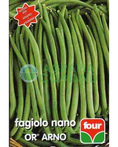 Alubia enana arno Cuatro