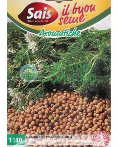 CILANTRO O PEREJIL CHINO CILANTRO O PEREJIL CHINO