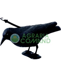 Espantapájaros_raven