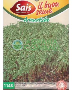 BERRO DE JARDÍN O AGRETTI COMÚN O INGLÉS BERRO DE JARDÍN O AGRETTI COMÚN O INGLÉS