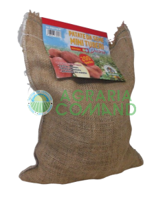 Patata de siembra Desiree Patata de siembra Desiree