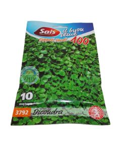 Dichondra repens semilla