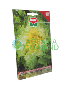 Endivia de la Copa Ortolani Cuádruple selección