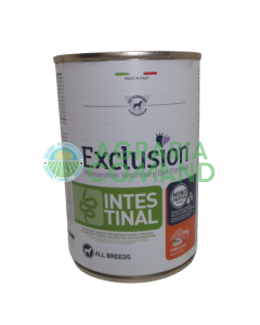 Exclusión perro intestinal