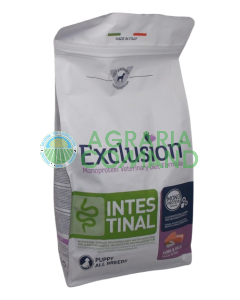 Exclusión Cachorro Intestinal